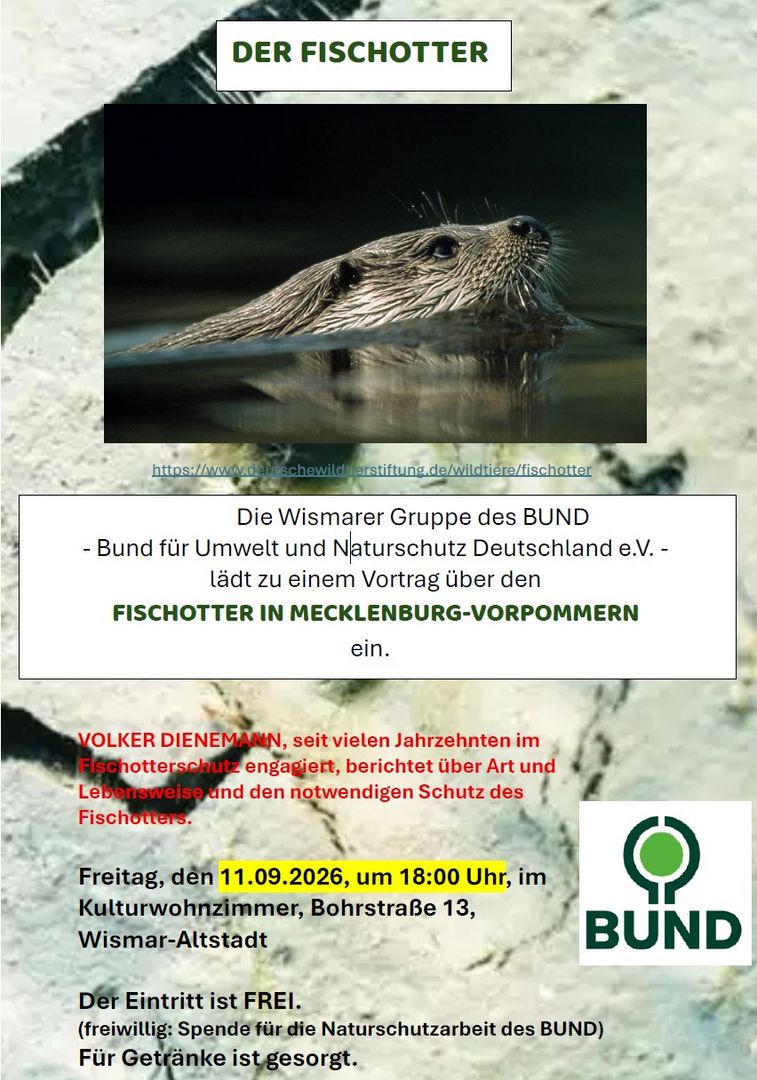 Einladung Vortrag über Fischotter in MV Wismar 11. Sept. 2026, 18 Uhr Kulturwohnzimmer, Bohrstraße 13