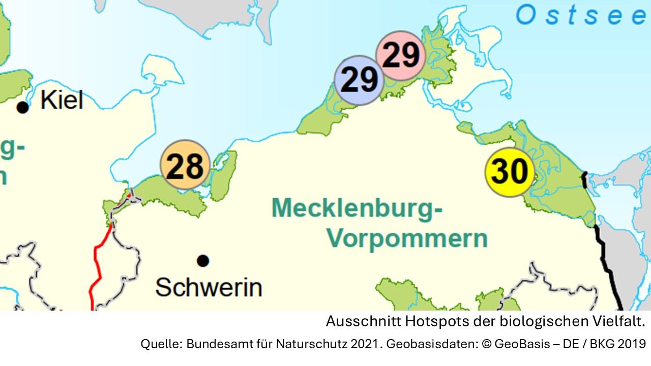 Ausschnitt der Karte mit der Darstellung der Hotspots der biologischen Vielfalt mit den Hotspots 28, 29 und 30 an der Ostseeküste.