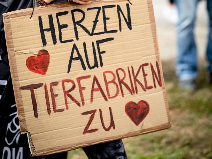 Demonstrationsschild "Herzen auf - Tierfabriken zu"