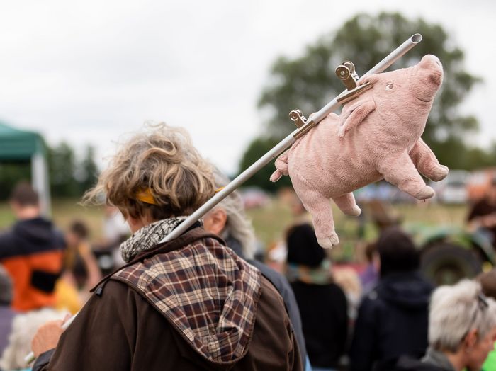 Frau von hinten trögt Stoff-Schwein an Stange