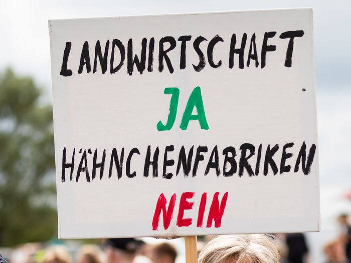 Demonstrationsschild "Landwirtschaft ja, Hähnchenfabriken nein"