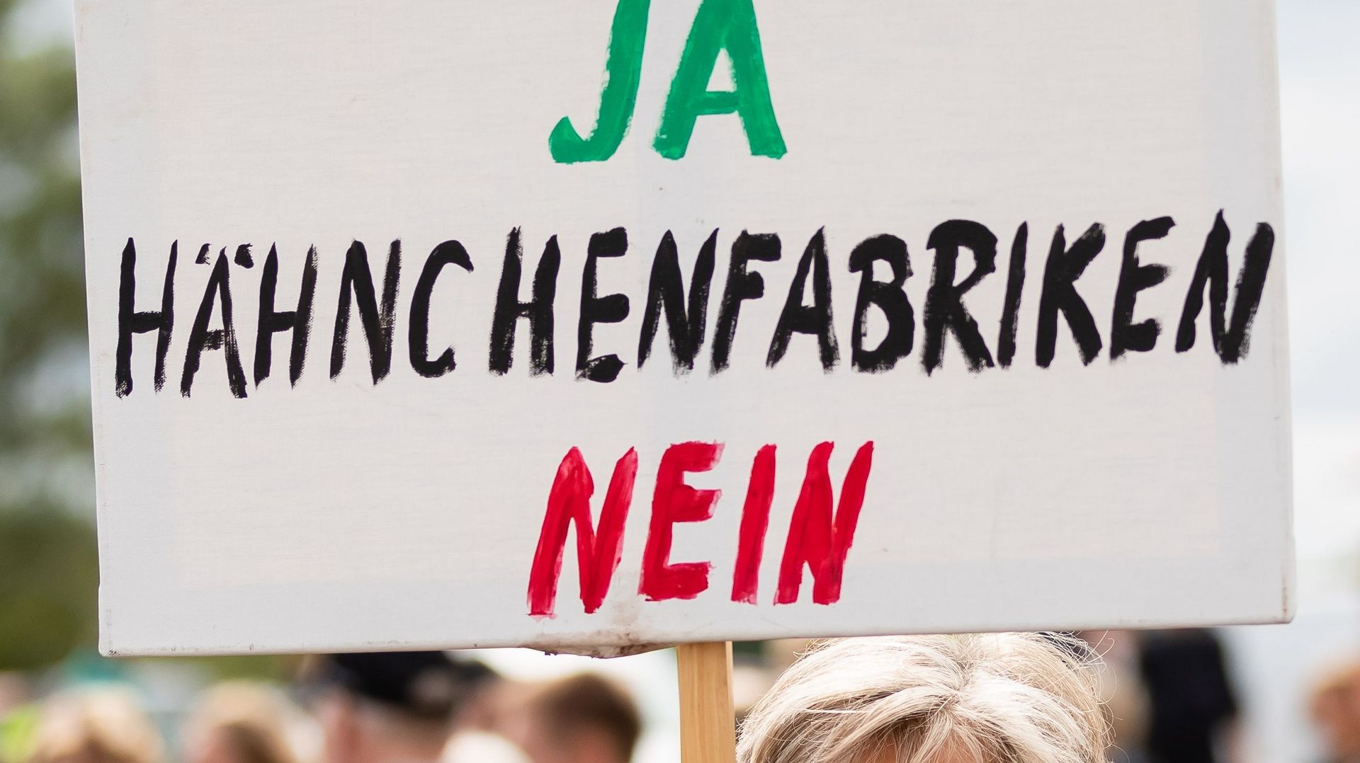 Demonstrationsschild "Landwirtschaft ja, Hähnchenfabriken nein"